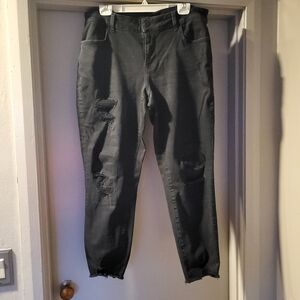 18W Maurices distressed black ankle jean